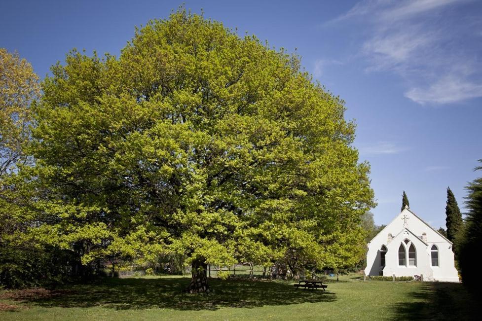The Holy Oaks Villa Duntroon Exterior photo